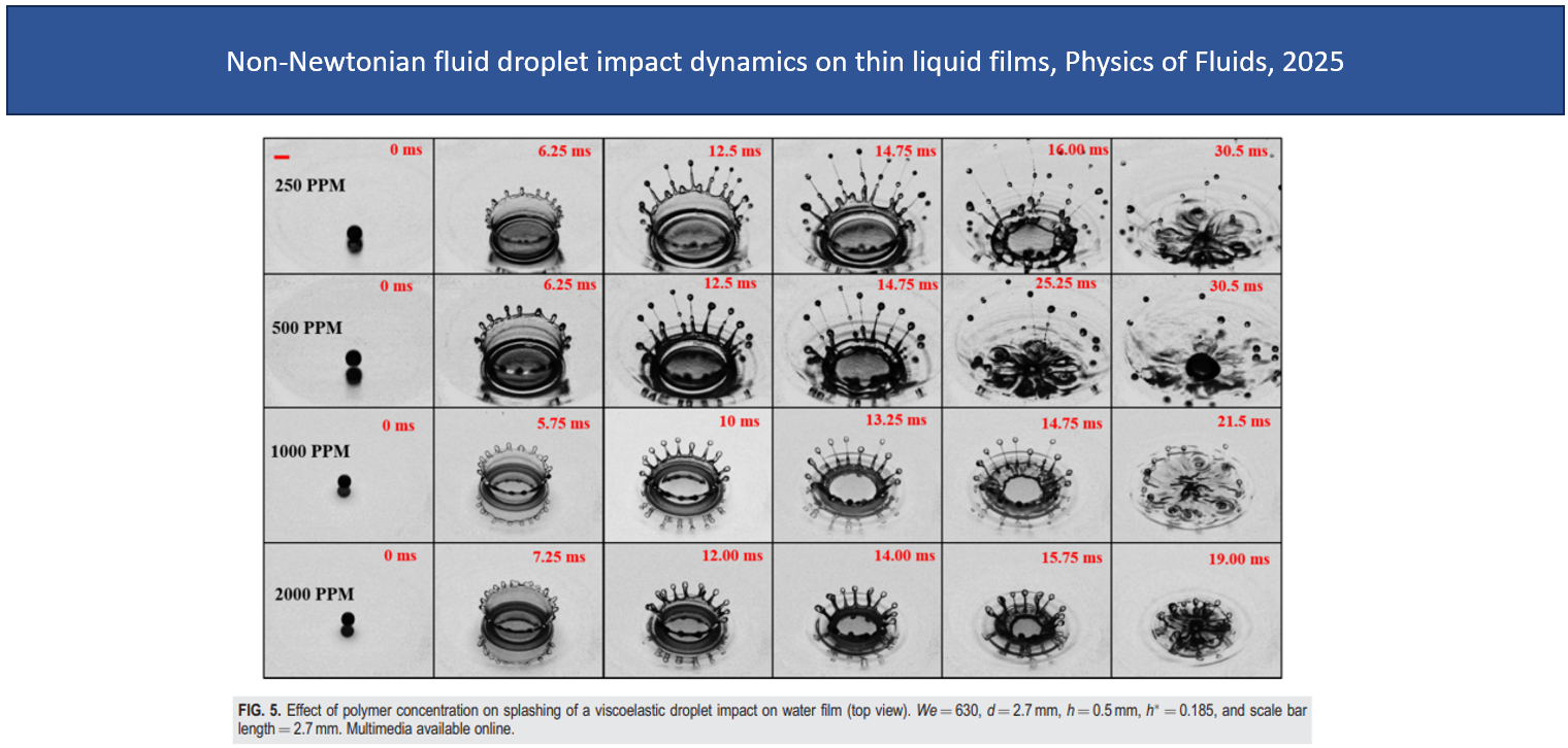 Screenshot 2025-11-13 165201